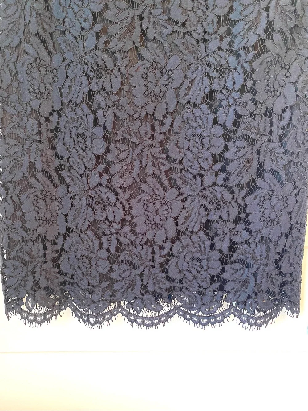Banana Republic Navy Floral Lace Dress (size 10)